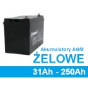 Akumulatory żelowe, agm 31Ah - 250Ah